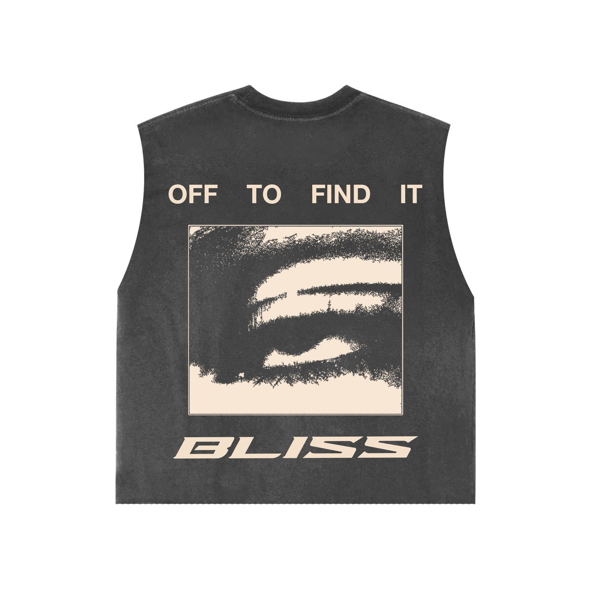 OFF TO FIND IT [NO SLEEVES]